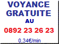 Voyance services