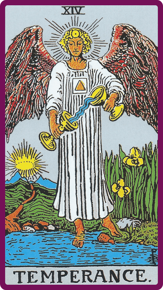 card-17