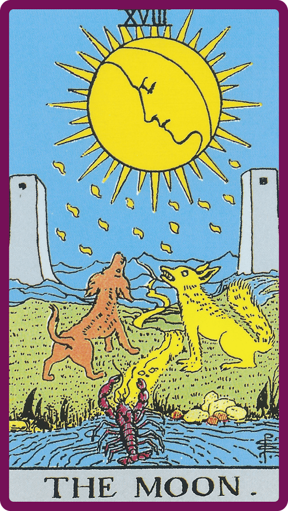 card-14