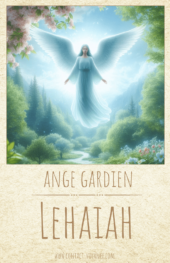 card-28
