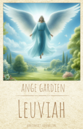 card-11