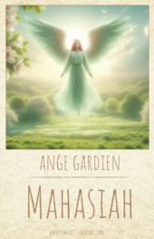 card-48
