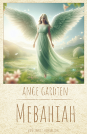 card-40
