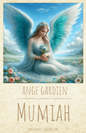 card-12