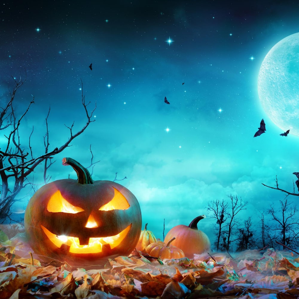 Bien plus qu’Halloween