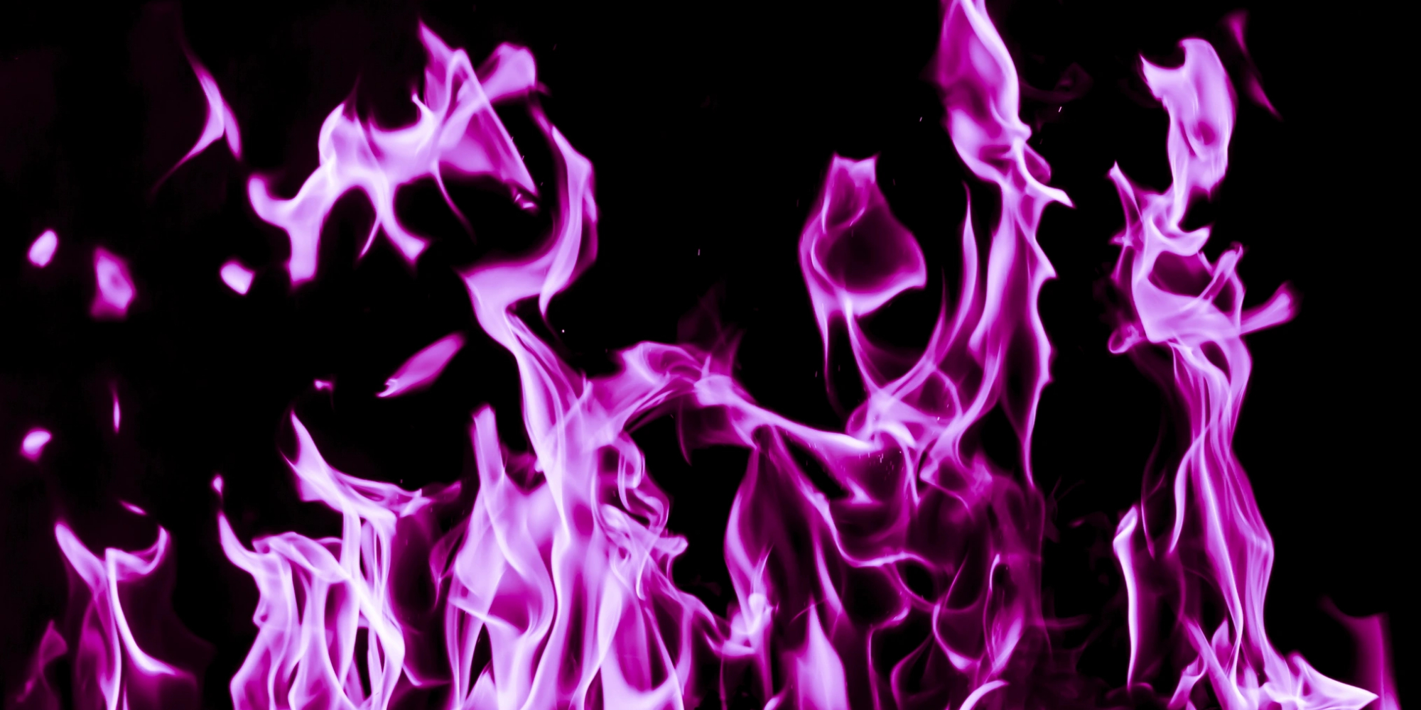 La flamme violette La flamme violette