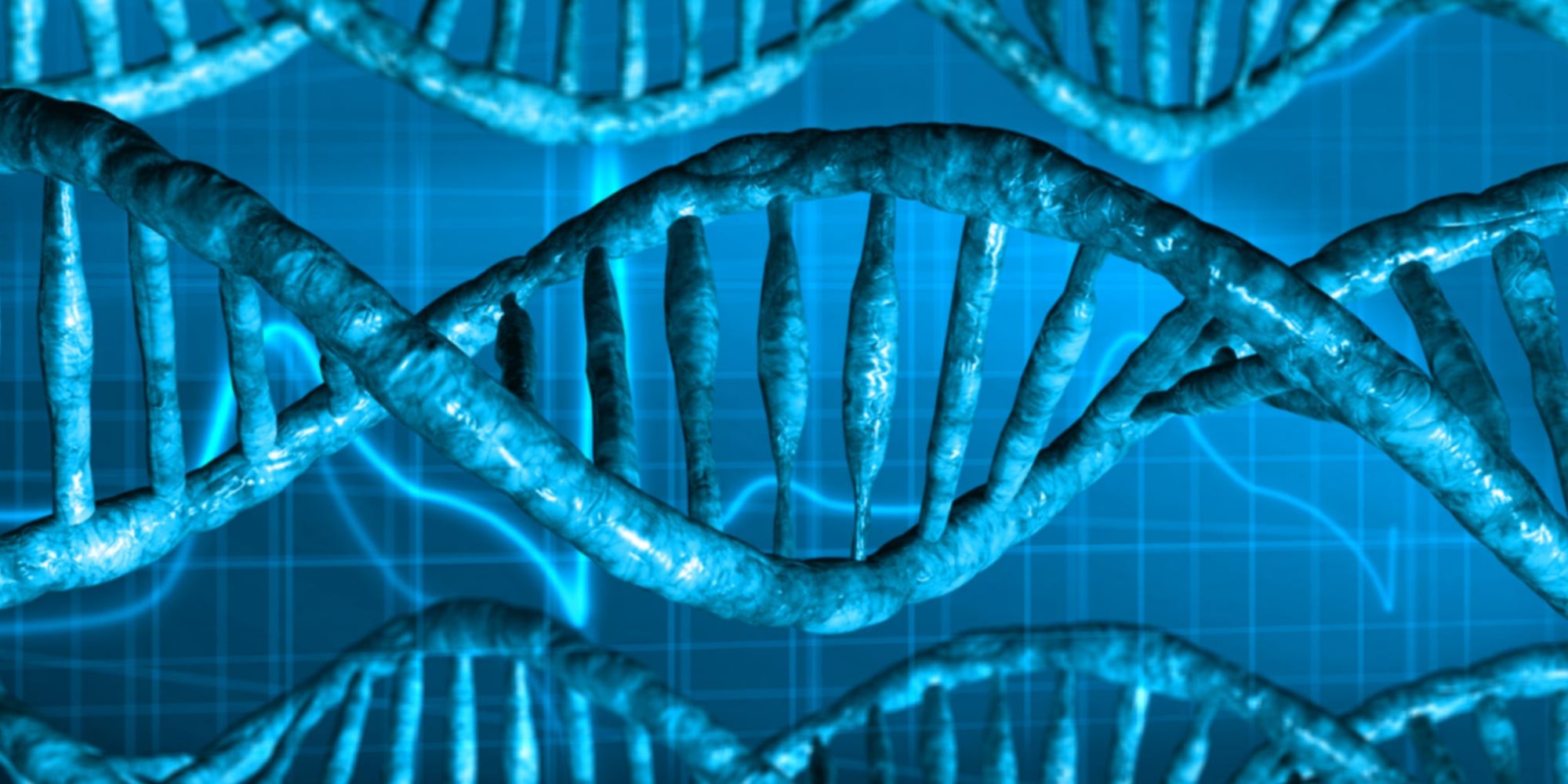 l’adn de la voyante l'adn de la voyante