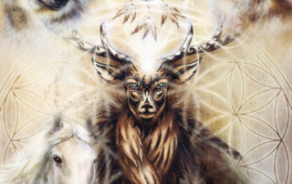 L'animal totem