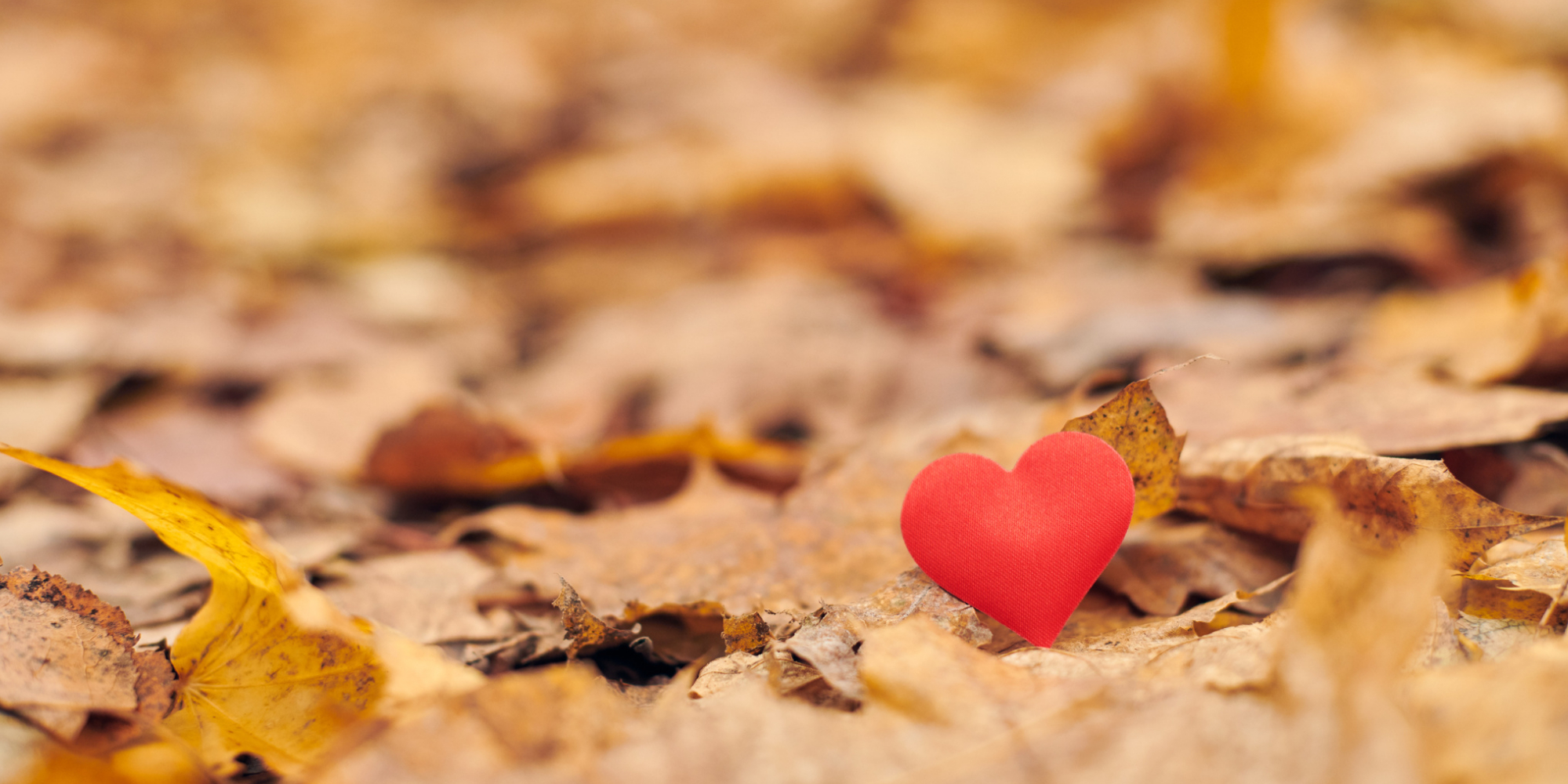 Connaitre son chemin amoureux avec la voyance