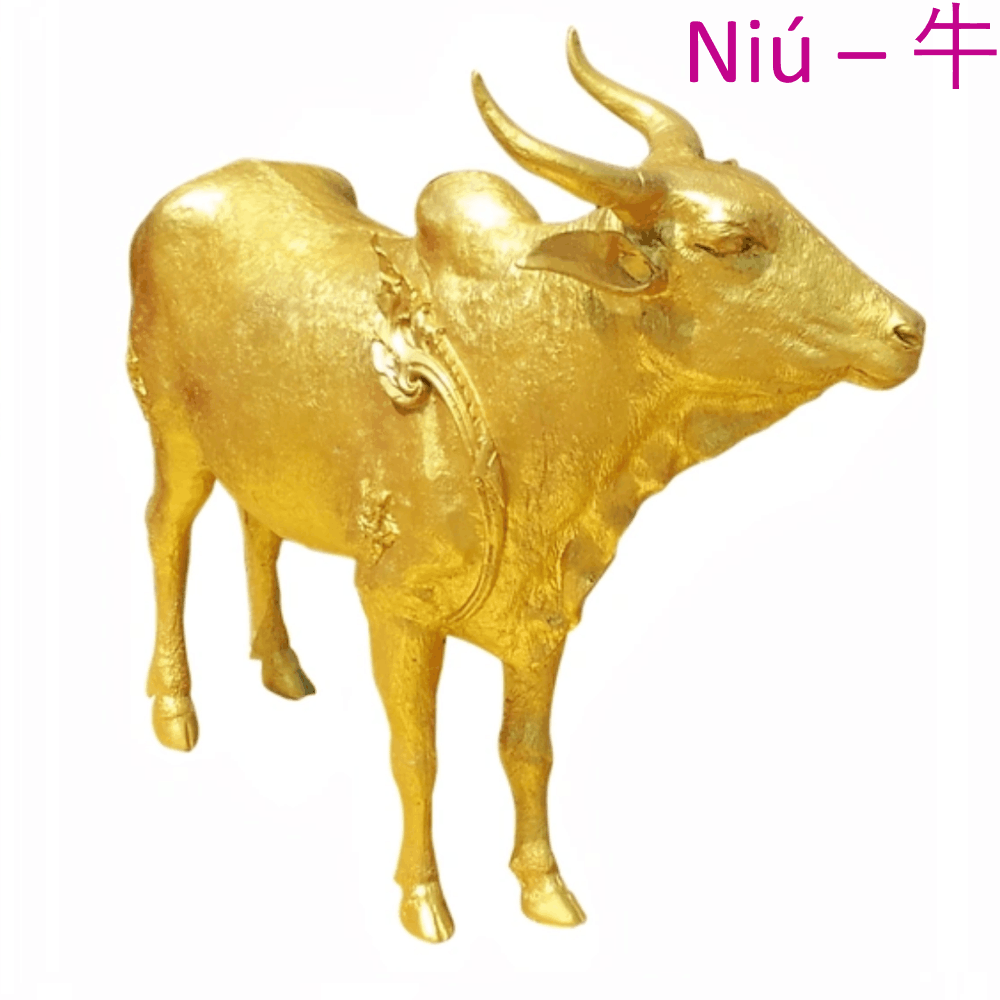bœuf