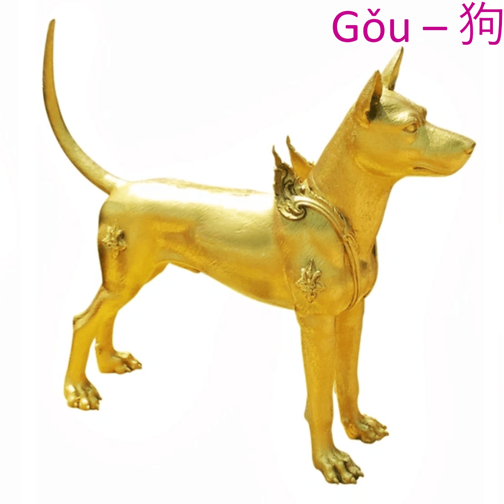 chien