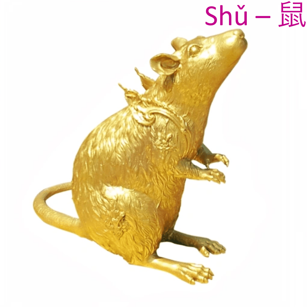 rat